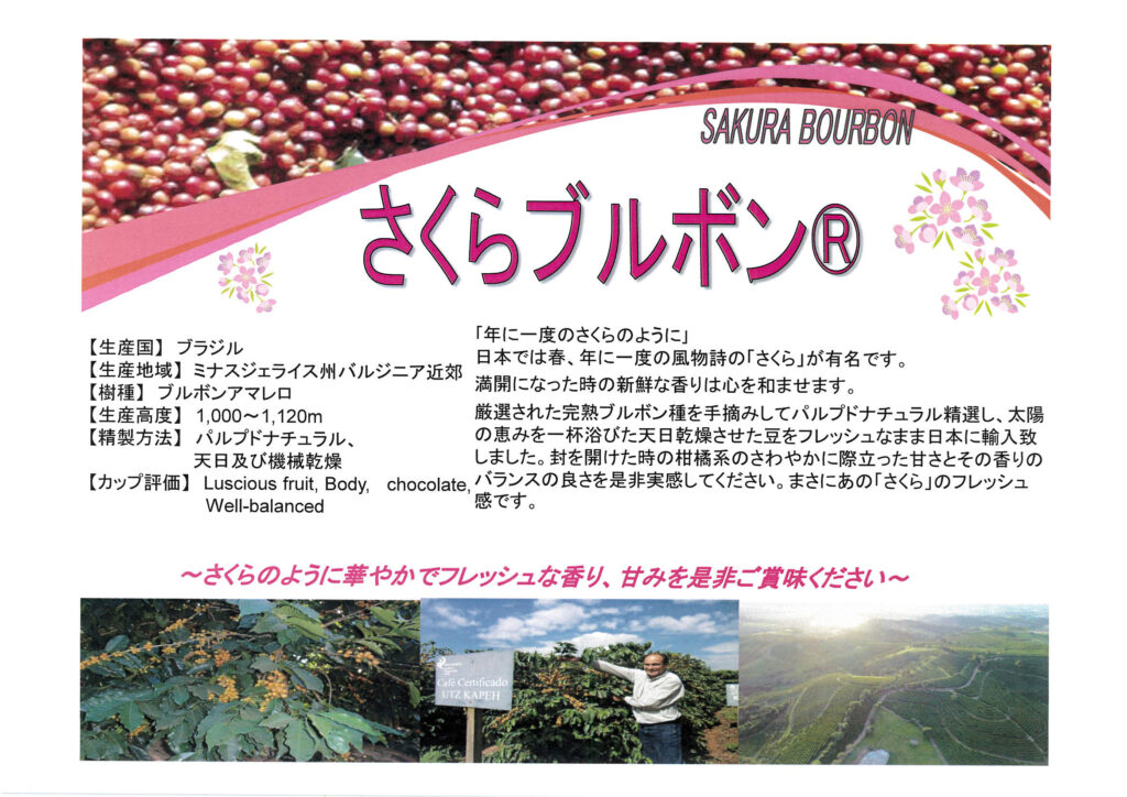 ブラジル産さくらブルボンの紹介資料